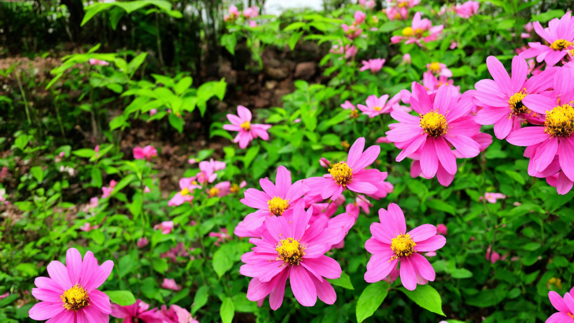 山水风景图片高清壁纸推荐