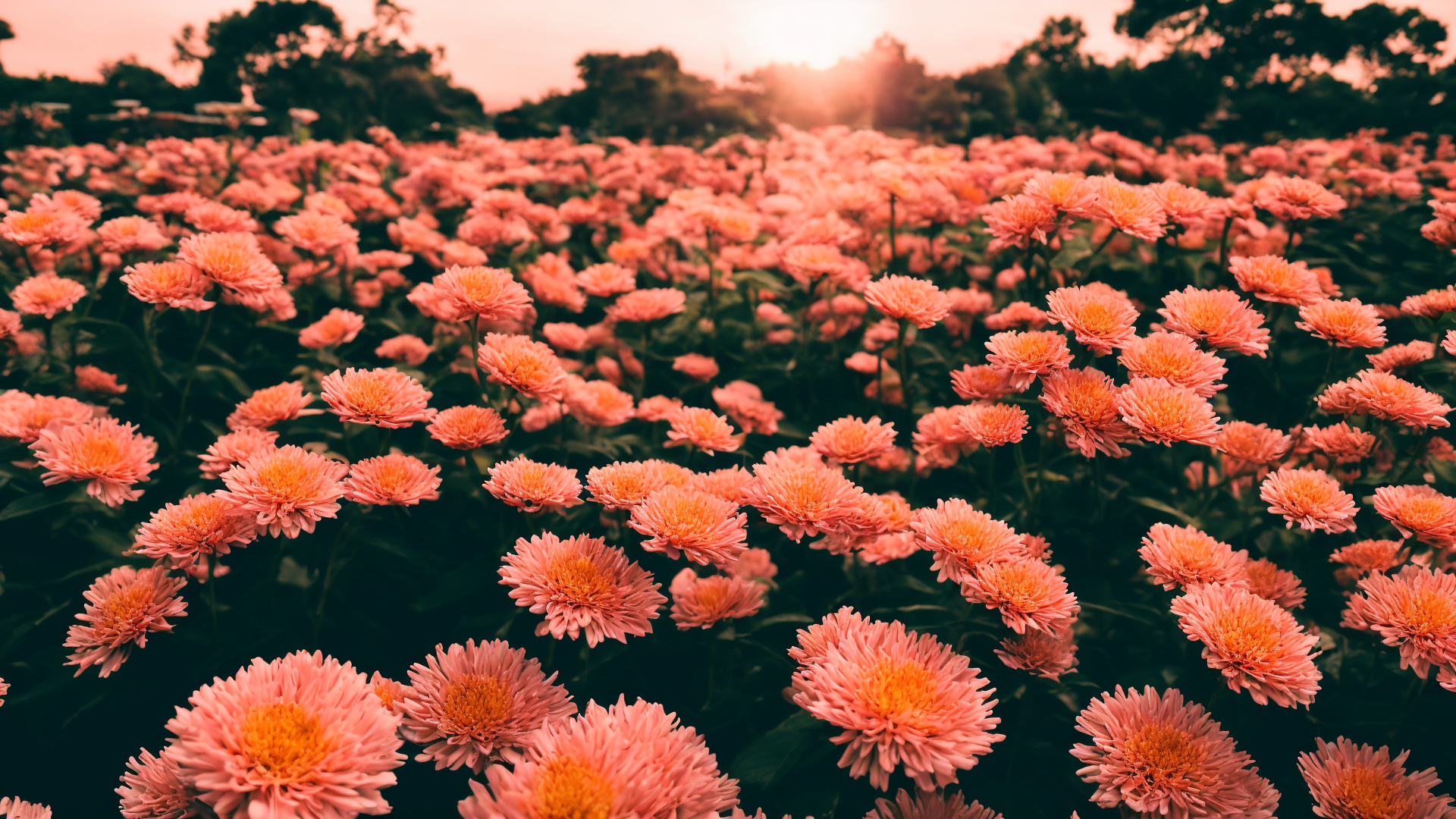 超清山水唯美风景图片