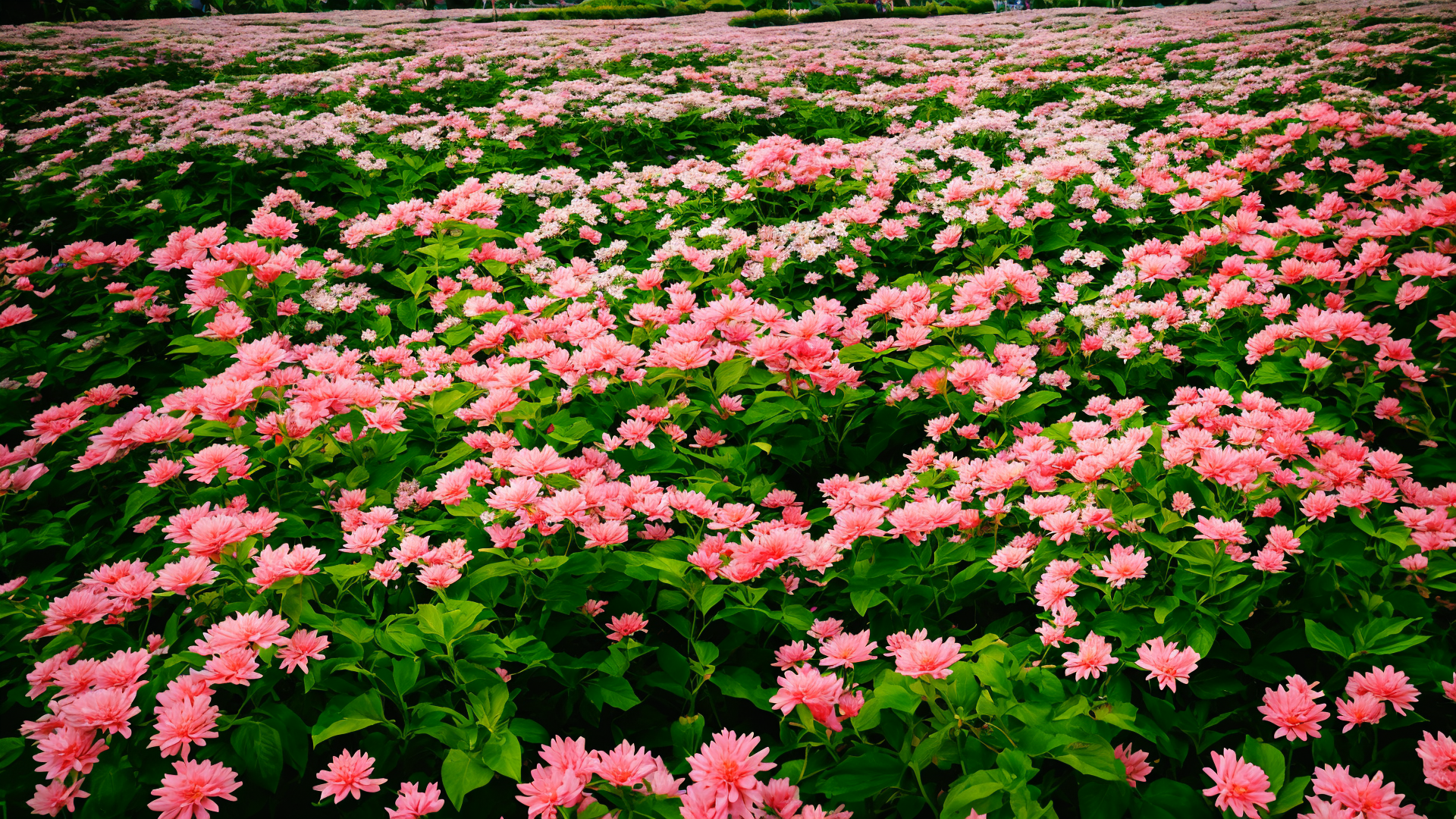 高清山水风景图片壁纸欣赏