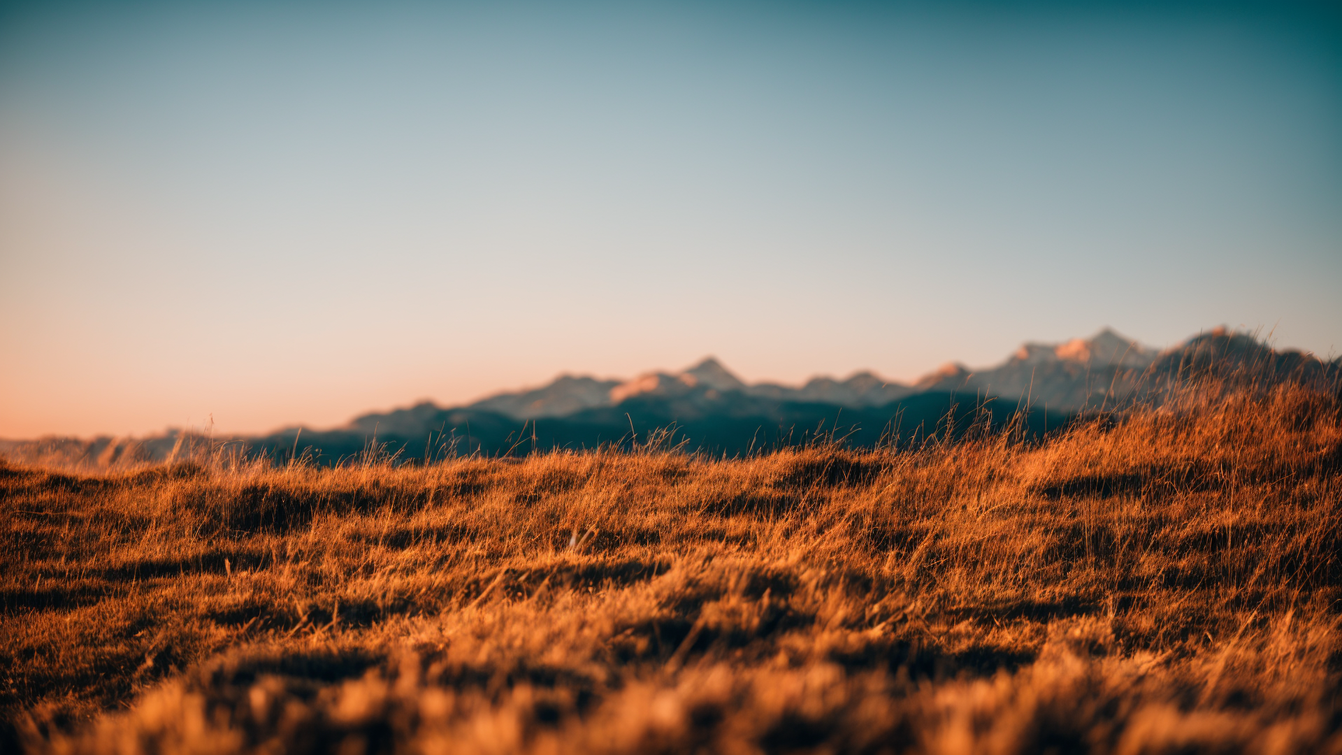 山水树木高清风景图片