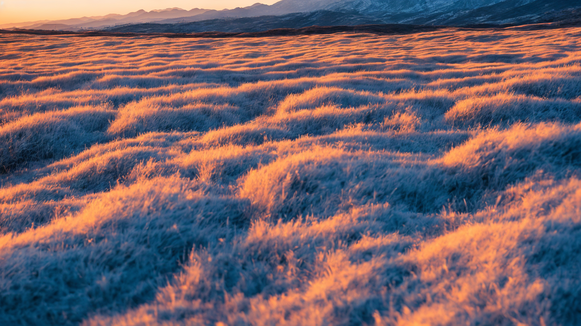 山水树木高清风景图片