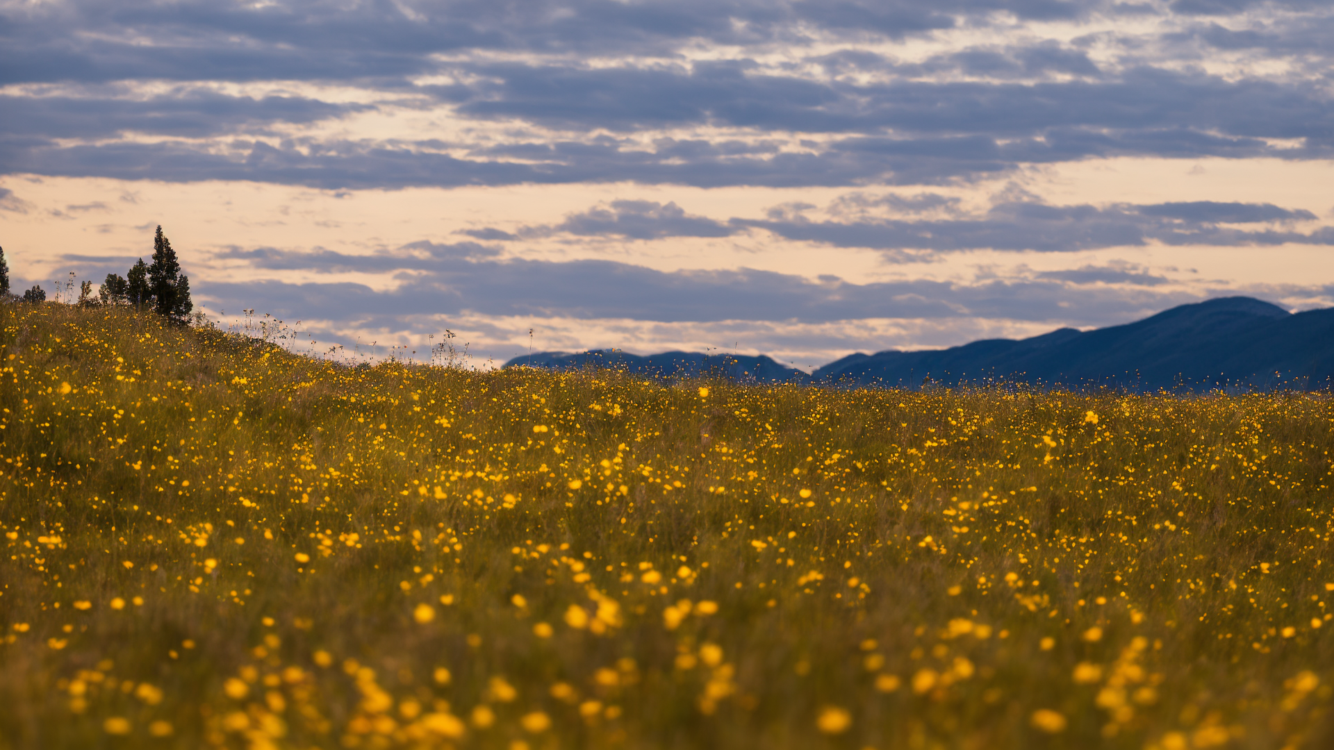 唯美草原风景高清图片