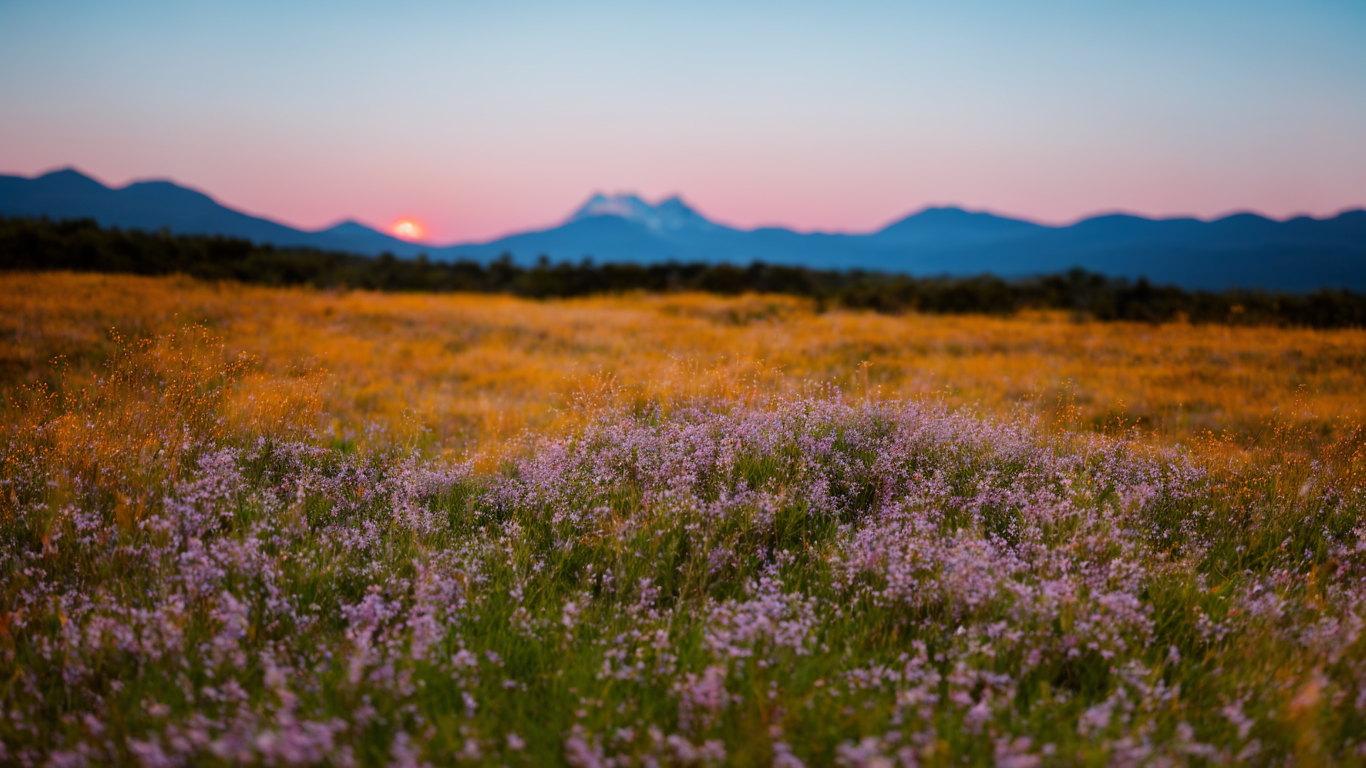 唯美草原风景高清图片