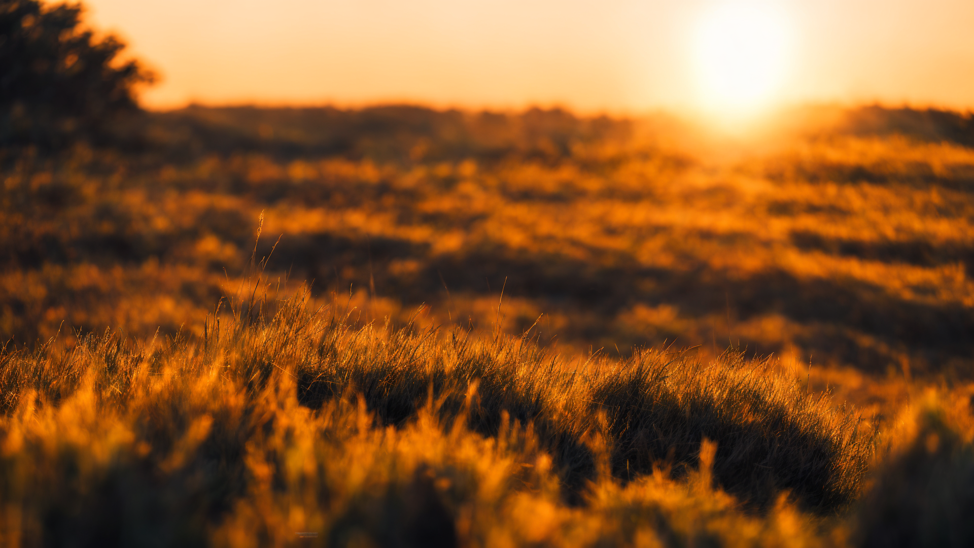 漂亮唯美高清草原图片