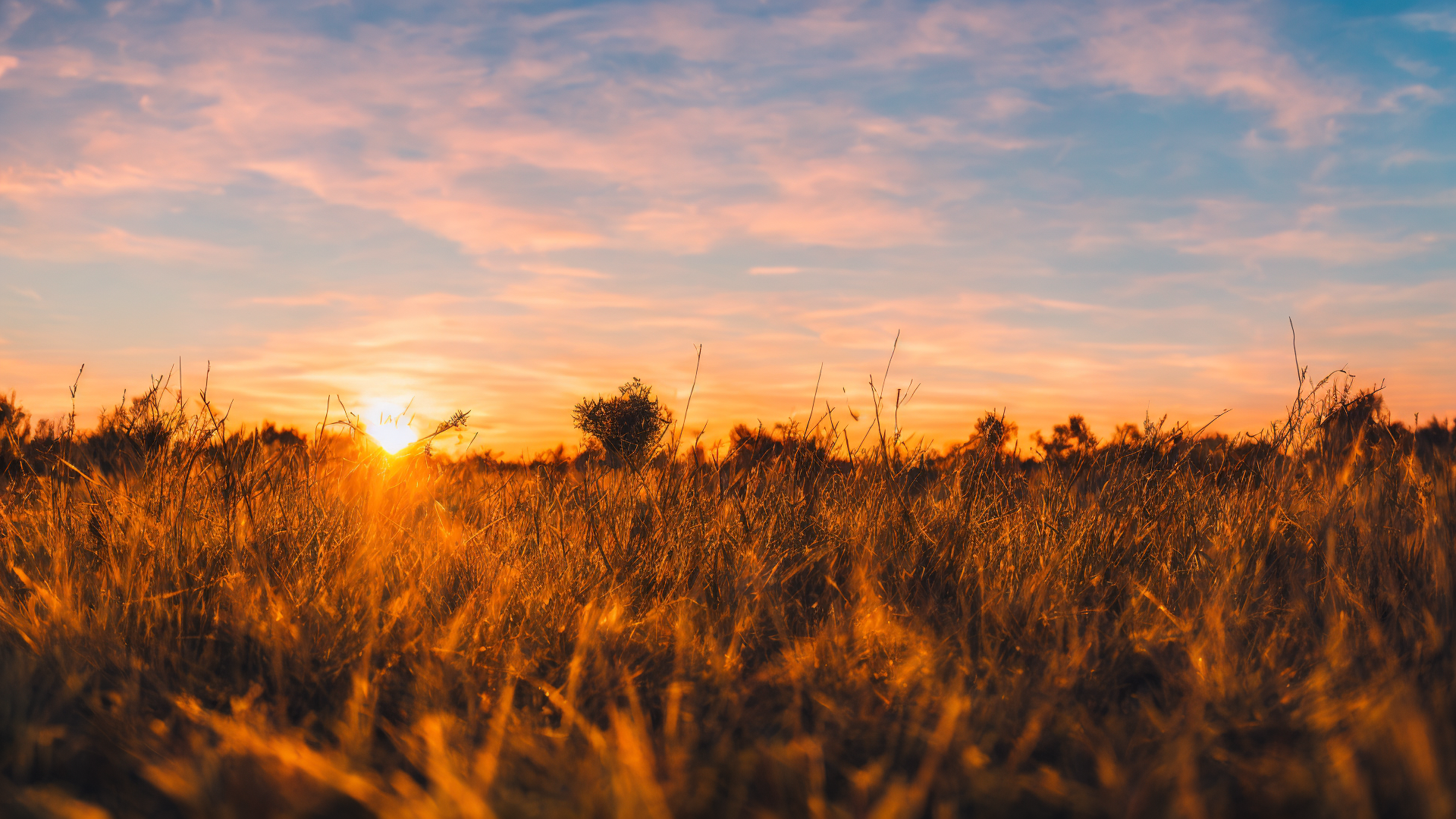 漂亮唯美高清草原图片