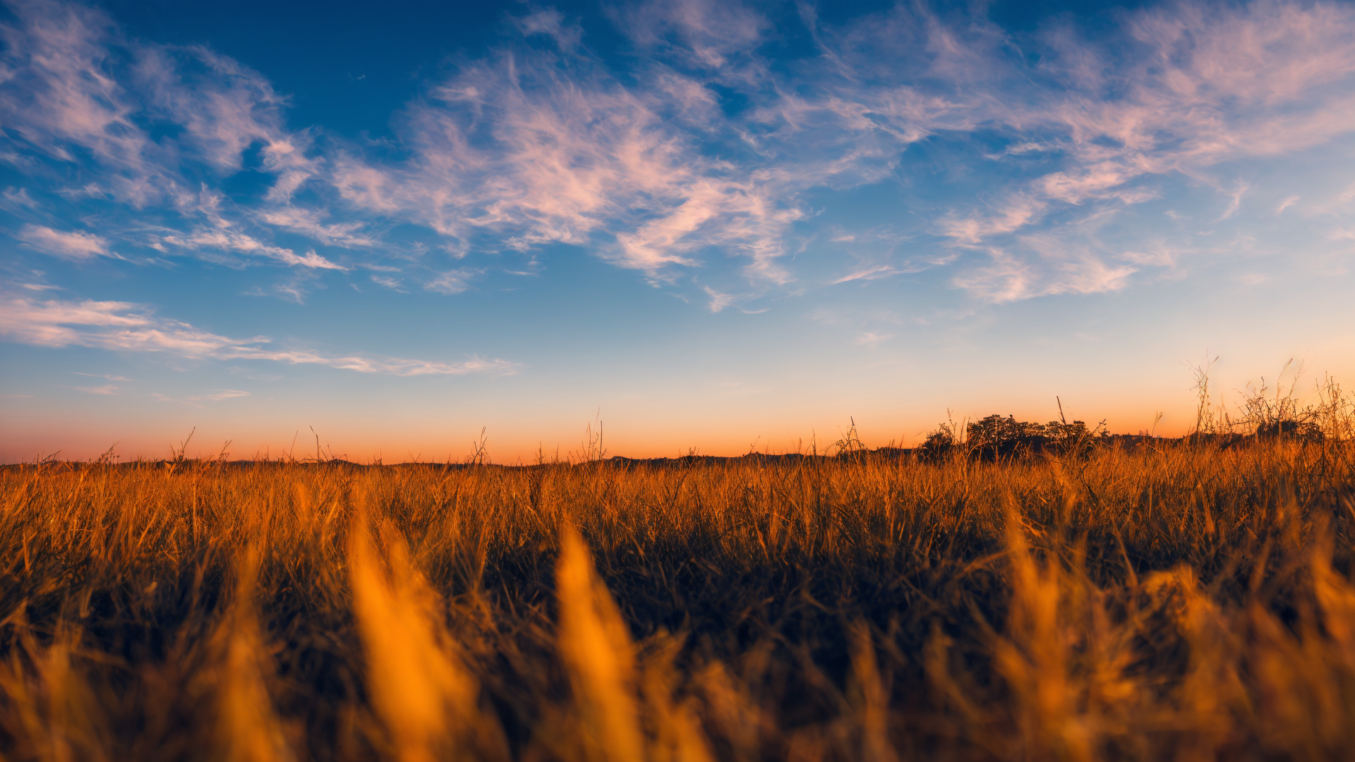 漂亮唯美高清草原图片