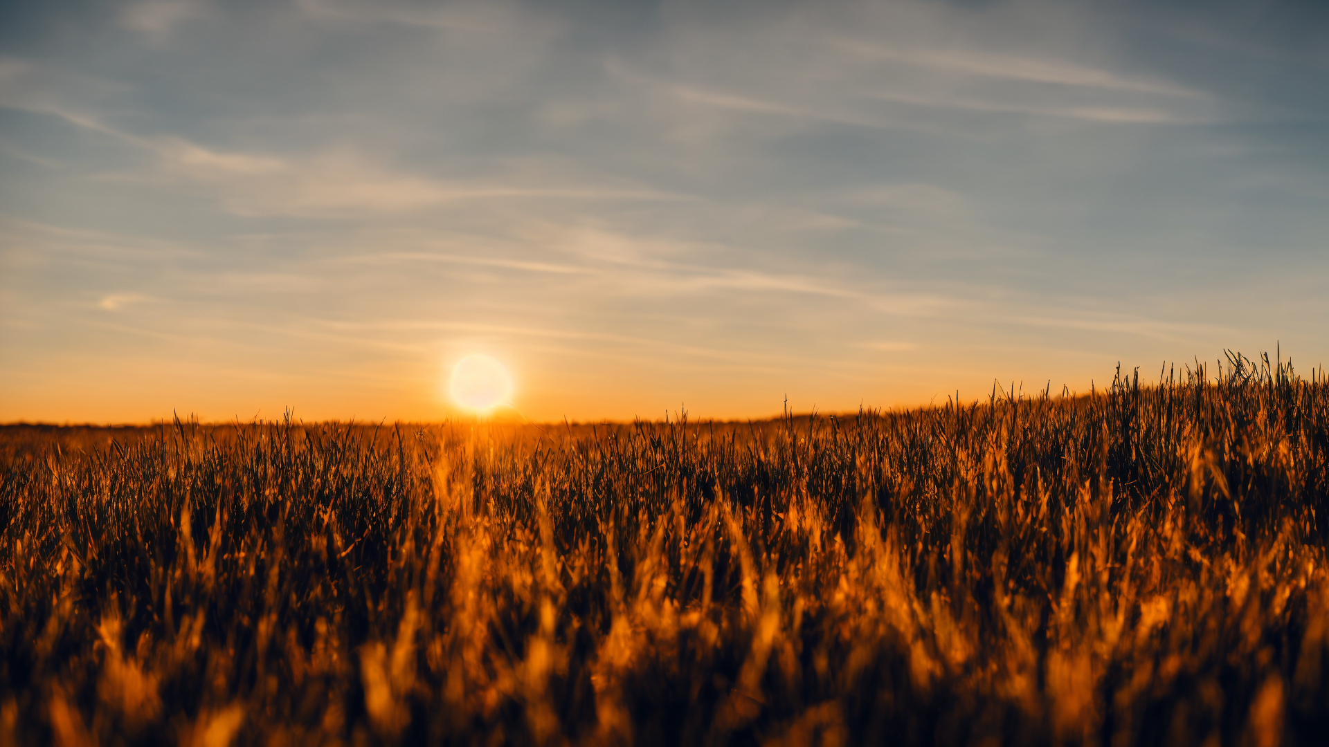 辽阔绝美草原高清壁纸