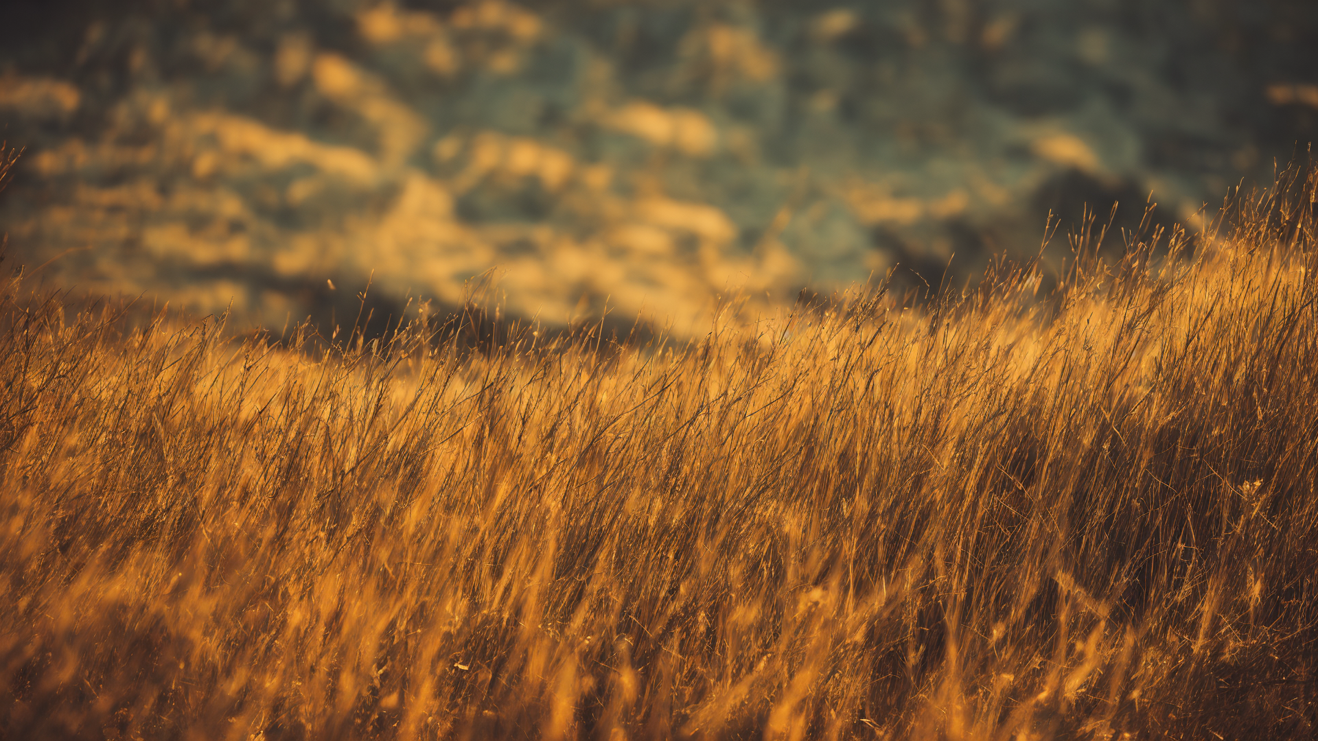 辽阔绝美草原高清壁纸