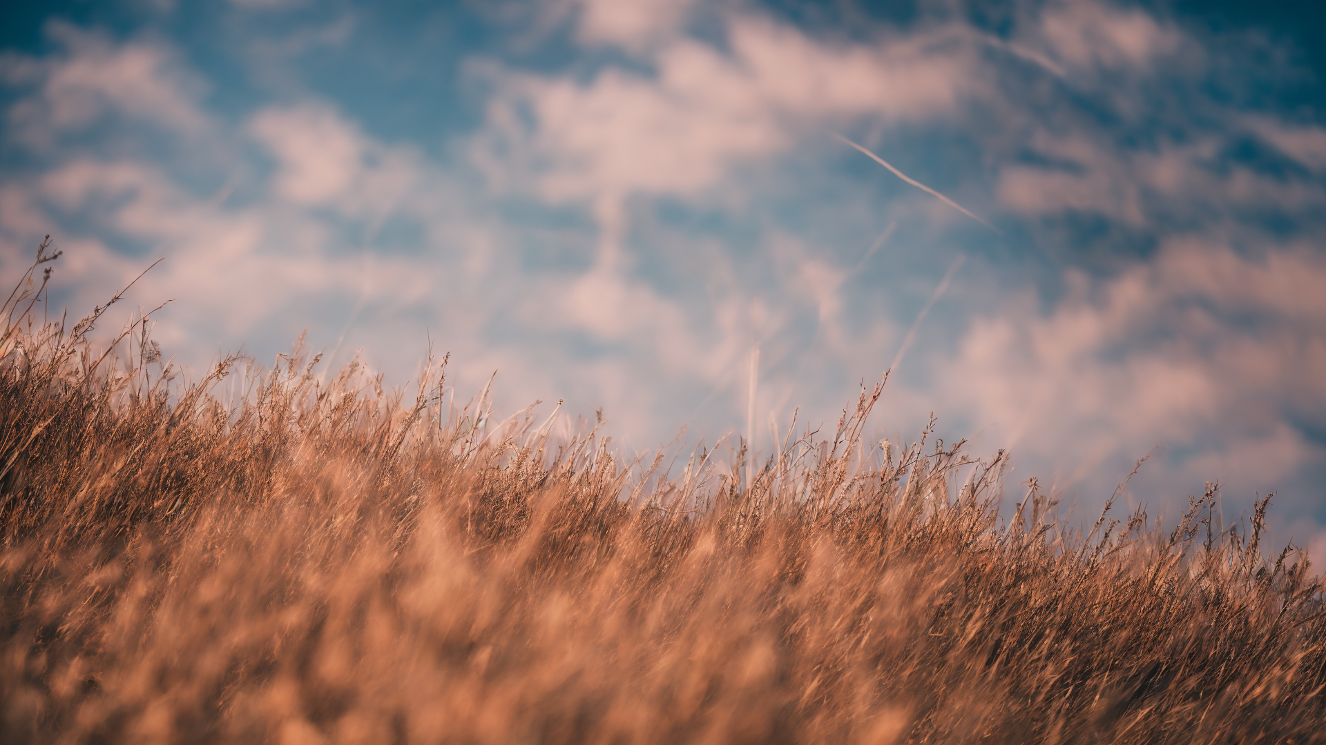 辽阔绝美草原高清壁纸