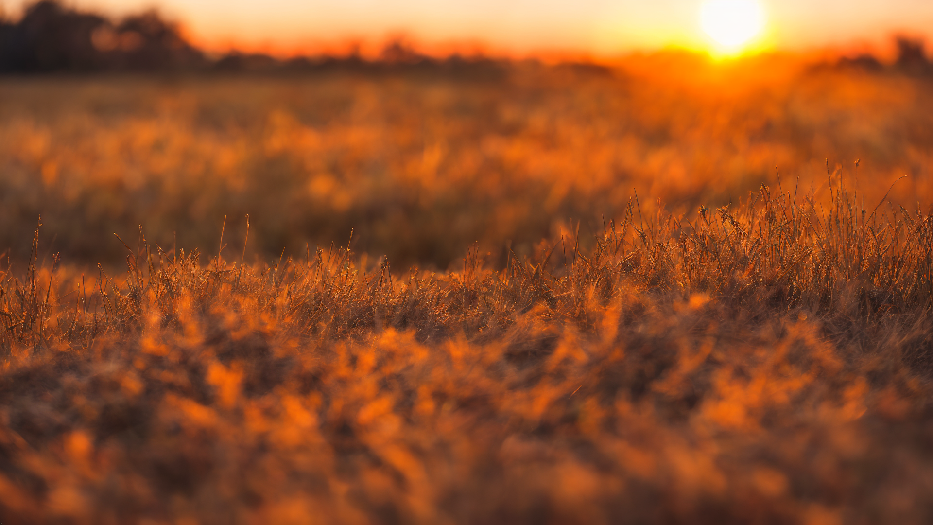 纯美草原自然风光高清图片