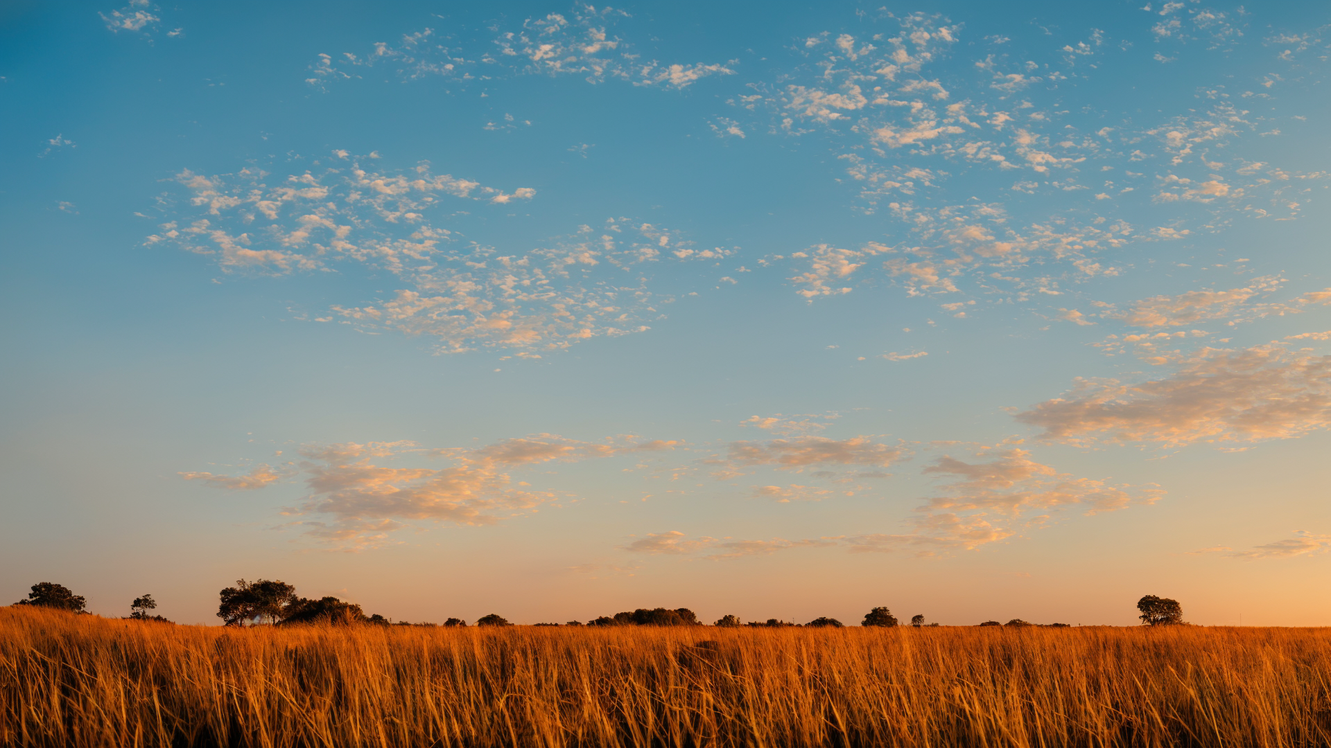 高清草原唯美意境图片欣赏