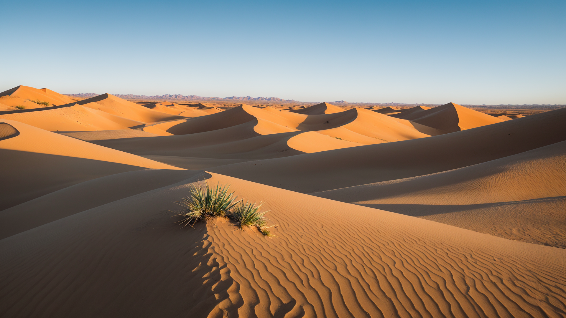 夕阳照射在戈壁沙漠上的迷人风景图片